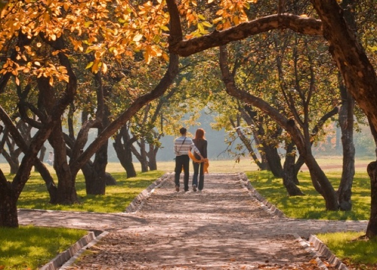 Couple walking in park in Autumn