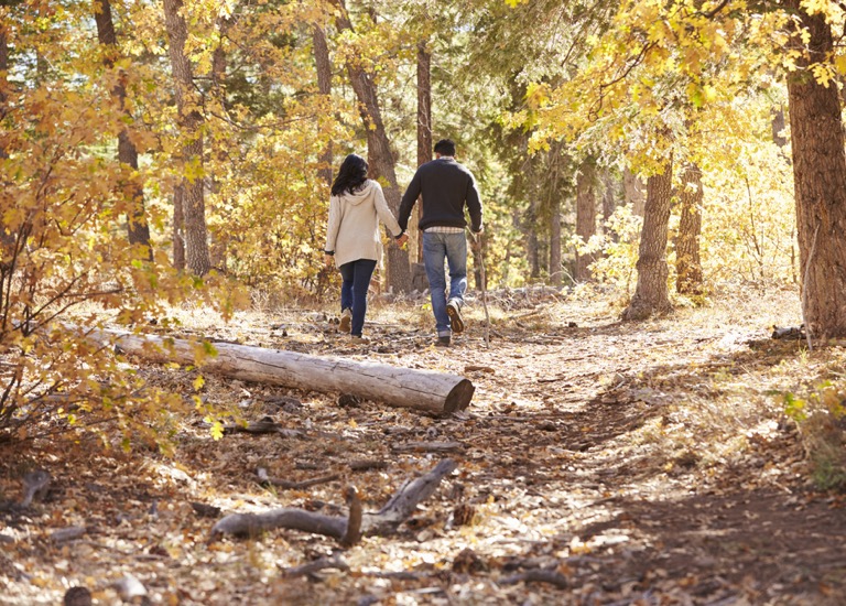 A couple walking in the forest