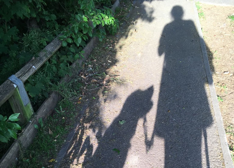 Shadow of a person and a guide-dog