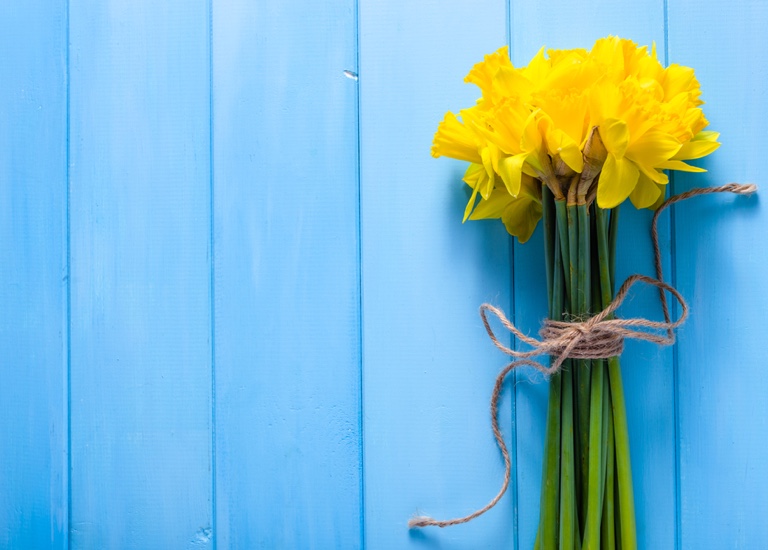 Bunch of daffodils