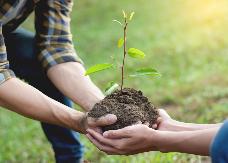 Couple planting a tree together