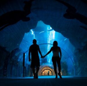Man and woman walk through aquarium - 9 water date ideas to refresh your time together - Christian Connection blog